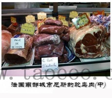 ����������������̵ĳԷ�
