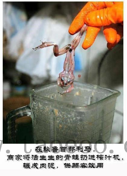 ����������������̵ĳԷ�
